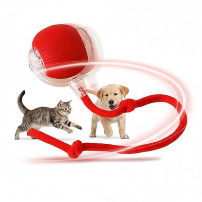 Interactive Cat Toys Ball for Cats - Upgrade Automatic Cat Toys for Indoor Cats, 3 Modes 2 Speed Moving Cat Ball (Red) - color: Red