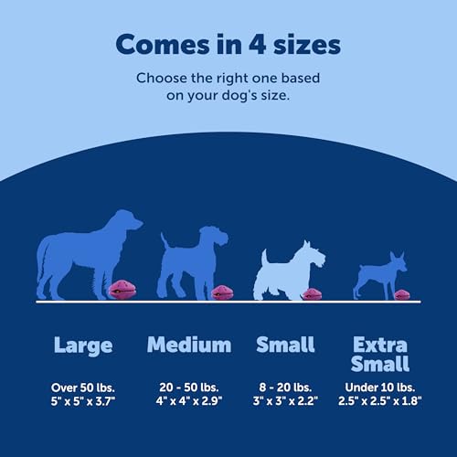 PetSafe Busy Buddy Twist 'n Treat Dispensing Dog Toy - Small - size: Small (Pack of 1)