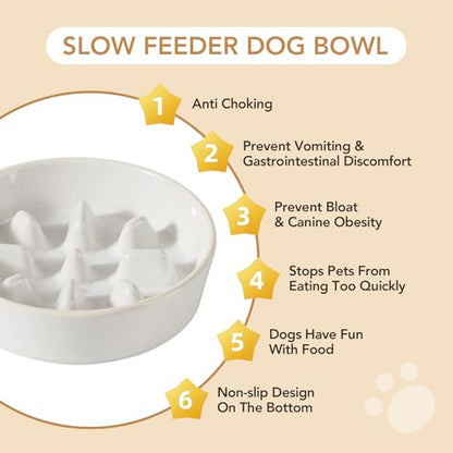 Havniva 1.2 Cup Elevated Slow Feeder Dog Bowls, 7.3” Dog Slow Feeding Bowls + 6.1” Ceramic Dog Water Bowls Set with Acacia Wood Stand, Dog Food Bowls Puzzle Feeder for Small Dogs Non-Slip Anti-choking - color: 2 x White + Stand - C, size: M- 7.3inch / 1.2