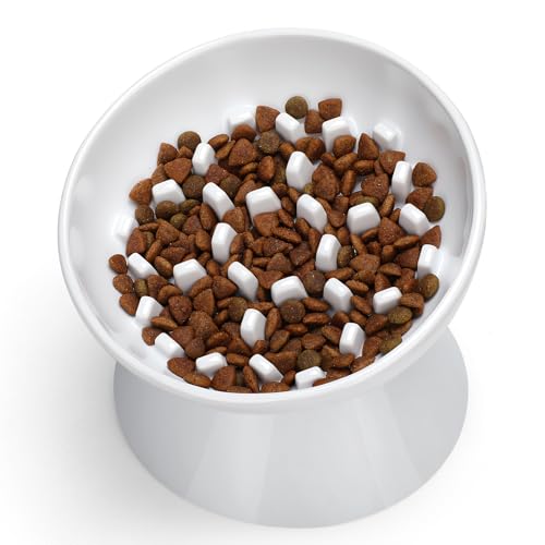 Ceramic Slow Feeder Cat Bowl, 2 Cups Tilted Elevated Cat Slow Feeder Bowl for Dry and Wet Food, Honeycomb Design for Preventing Vomiting & Bloating (White-Honeycomb) - color: White-Honeycomb