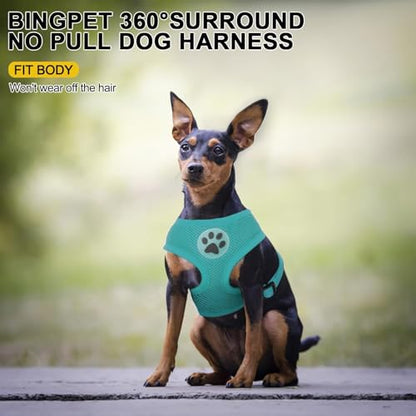 BINGPET Small Dog Harness, No Pull Dog Harness Small Sized Dogs, Soft Light Breathable Mesh Puppy Vest with Safety Buckle-Adjustable Step in Pet Harnesses for Easy Walking, Running, Training - color: Aqua, size: XS (NECK: 10", CHEST: 10"-14")
