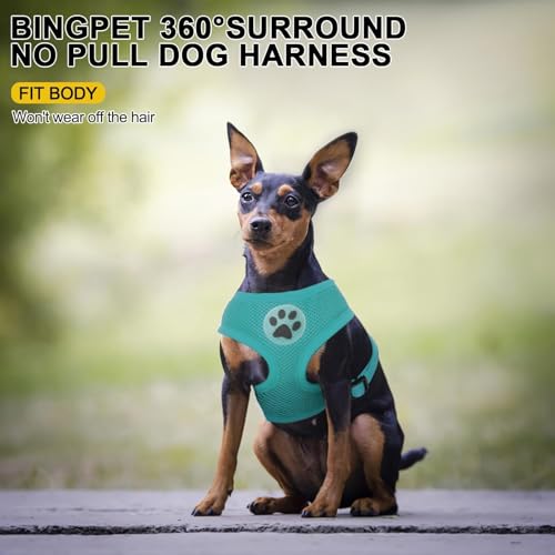 BINGPET Small Dog Harness, No Pull Dog Harness Small Sized Dogs, Soft Light Breathable Mesh Puppy Vest with Safety Buckle-Adjustable Step in Pet Harnesses for Easy Walking, Running, Training - color: Aqua, size: S (NECK: 12", CHEST: 14"-18")