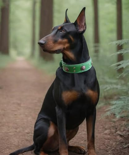 Leather Dog Collar, 2 inches Wide Heavy Duty Genuine Leather Collars, Handmade, Soft, and Luxury, Eye-catching Best Choice for Large and Medium Breed Dogs, Green 18.5-22.5 in - color: Green, size: 18.5-22.5 in