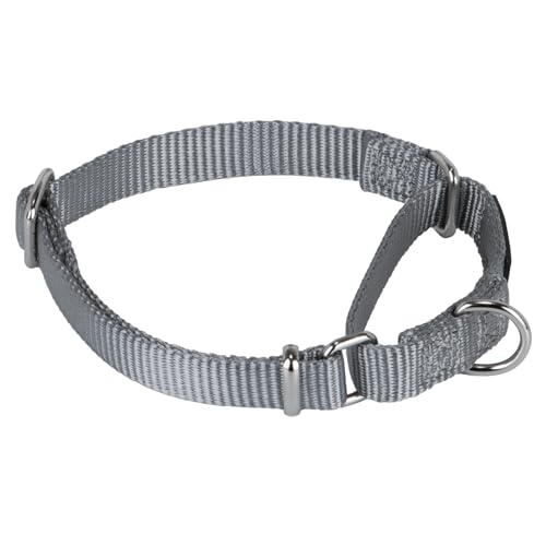 Martingale Collar for Dogs Small Gray |Escape - Proof Heavy Duty Nylon Durable No Buckle, Ideal for Training & Daily Walks - color: Sleet Gray, size: Small