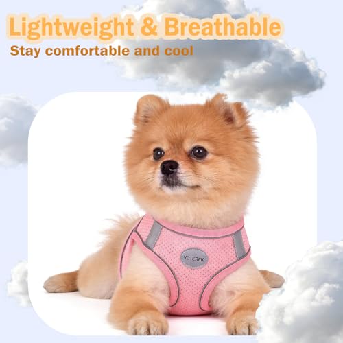 Small Dog Harness and Leash Set, Step-in Puppy Vest with Breathable Soft Padded Mesh, Walking Reflective Pet Harness for Small Medium Dogs - color: Pink, size: Small (Chest: 9" - 11.5")