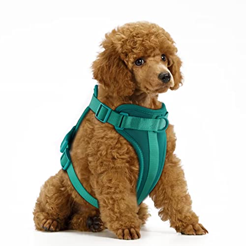 No Pull Lightweight Dog Harness: Adjustable Breathable Pet Vest Harness with Soft & Comfortable Cushion for Small Medium Large Dogs (XS, Emerald Green) - color: Emerald Green, size: XS:Neck=10"-12"/Chest=13"-16"