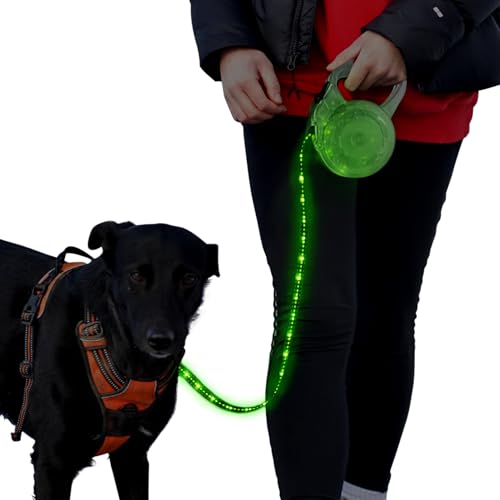 Luwint LED Dog Leash Retractable 8.8ft - Light Up Dog Leashes for Night Walking, USB Rechargeable Waterproof Lighted Leash with 3 Modes Green Light