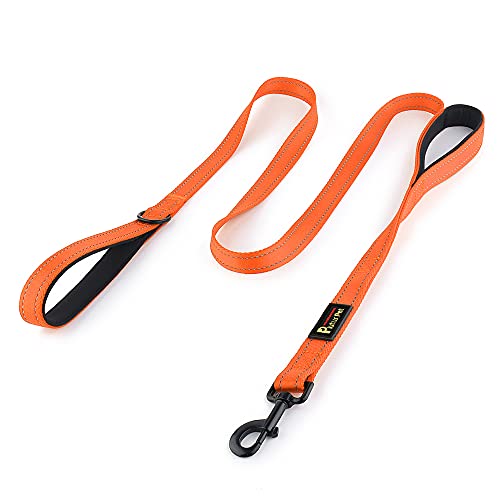 Plutus Pet Double Handle Dog Leash 4ft, Heavy Duty, Reflective Dual Handle Dog Leash for Safety Training, for Medium Large Dogs,2 Handle Leads(Orange) - color: Orange, size: 4 FT