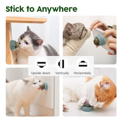 Potaroma Catnip Silvervine Balls 4 Pcs Extra Cat Energy Ball, Edible Kitten Lick, Teeth Cleaning Dental Chew Wall Treats for All Breeds (Grey) - color: Grey