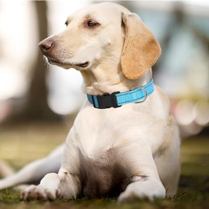 Dog Collars Adjustable for Puppy and Small Dogs, Heavy Duty Waterproof with Quick Release Buckle, Reflective Nylon Collar with Soft Neoprene Padded, XS, Sky Blue - color: Sky Blue, size: X-Small