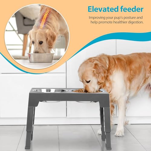 Niubya Elevated Dog Bowls with 2 Stainless Steel Dog Food Bowls, Raised Dog Bowl Adjusts to 5 Heights (3.15", 8.66", 9.84",11.02", 12.2") for Small Medium and Large Dogs - color: Grey