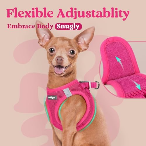 rabbitgoo Small Dog Harness, Step-in Soft Mesh Puppy Vest with Safety Buckle, Breathable Reflective Pet Harness for Small Medium Dogs, Rose Red L - color: Rose Red, size: L(chest:18.2"-20.5")