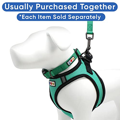 Pawtitas Dog Vest Harness Made with Breathable Air Mesh | All Weather Vest Harness for Extra Small Puppies and Large Cats with Quick-Release Buckle - Extra Small Teal Mesh Dog Harness - color: Teal, size: X-Small (Pack of 1)