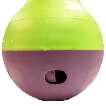 Starmark Bob-A-Lot Interactive Dog Pet Toy, Large, Yellow/Green/Purple - size: Large