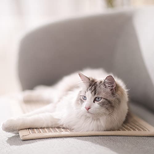 FUKUMARU Cat Scratcher Mat, 23.6 X 15.7 Inch Natural Sisal Cat Scratch Mats, Horizontal Cat Floor Scratching Pad Rug, Protect Carpets and Sofas (Cream - Thicken) - color: Cream-Thicken 23.6 x 15.7 Inch