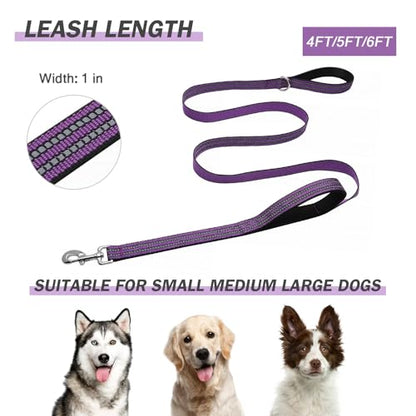 Hikiko 4FT Purple Dog Leash with Dual Handles Heavy Duty Reflective Strong Dog Leash for Walking and Training - color: Purple, size: 1 in x 4 ft