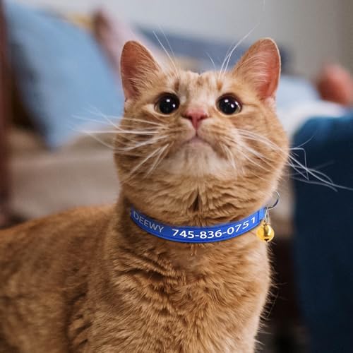 Personalized Custom Cat Collars,Custom ID Collar with Pet Name and Phone Number, Adjustable Kittens Nylon Collars Breakaway with Bells for Boy Girl (Normal) - color: Normal