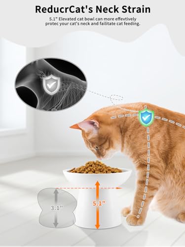 LoeJan Elevated Food and Water Bowls Set, Extra Wide and Raised Ceramic Feeder, Anti-Vomit Whisker-Free Pressure Cat Feeding Bowl for Kittens Adult Cats Small Dogs (White, Food Bowl) - color: White, size: Single (Food Bowl)