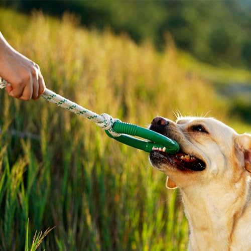 Green Sheep Natural Rubber Ring Rope Toy for Dogs, Durable Chew & Interactive Dog Toy with Recycle Cotton Rope, Tough Pet Toys for Small to Large Dogs, Green - color: Green And White