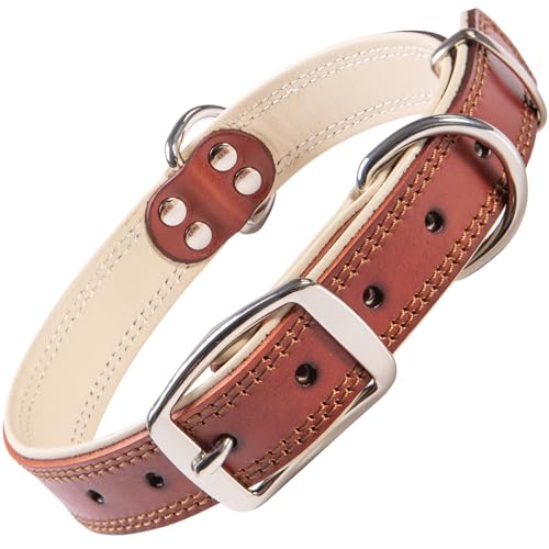 ADITYNA Heavy-Duty Leather Dog Collar for Small Dogs - Soft Padded for Comfort - Small Dog Collar for Walking, Training, and Hiking - color: Brown, size: Small: Fit 10-14.5" Neck