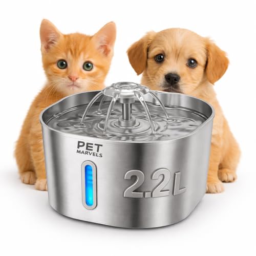 Stainless Steel Cat Water Fountain – 2.2L/74oz Ultra-Quiet Pump, Visible Water Level, Dual Flow Modes – Automatic Pet Water Dispenser for Cats & Small Dogs - color: Silver