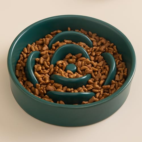 6'' Ceramic Slow Feeder Dog Bowls - Petal Shape Modern Dog Food Dish for Cats and Small Breed Dogs, Puzzle Maze Bowl to Slow Down Eating, Anti-Gulping, Dishwasher & Microwave Safe, Green - color: Green, size: 6 inch