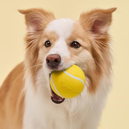 Playology Dog Toys | Squeaky Chew Ball - Bouncy Durable Floating Fetch Ball for Dogs | Jumbo Chicken Scented Toy - Easy to Clean and Made from Non Toxic Materials - size: Jumbo, style: Chicken