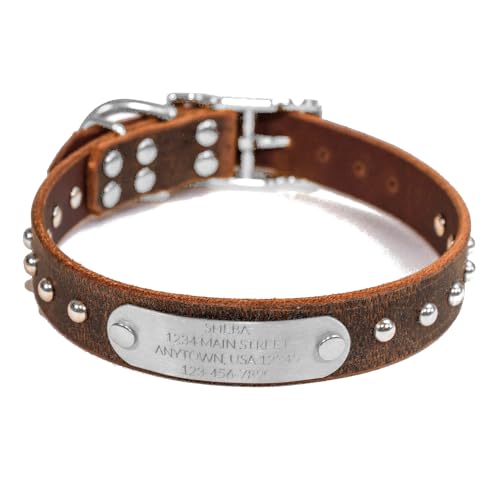 Handmade Studded Bridle Leather Dog Collar, Silver Tone Hardware and Stainless Steel Nameplate (Distressed Brown) - color: Distressed Brown