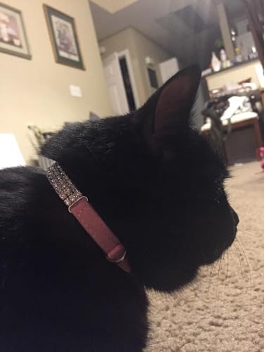 CHUKCHI Soft Velvet Safe Cat Adjustable Collar Bling Diamante with Bells,11 inch for Small Dogs and Cats (Pink) - color: Pink