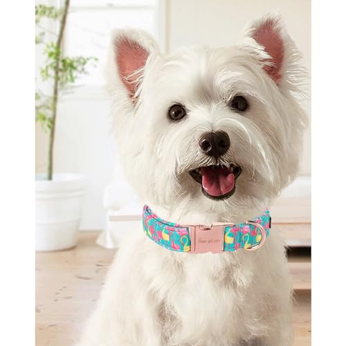Cute Flamingo Summer Dog Collar, Unique Style Paws Green Pet Collar Adjustable Girl Dog Collar with Metal Buckle for Small Medium Large Dogs - color: Flamingo CC, size: S
