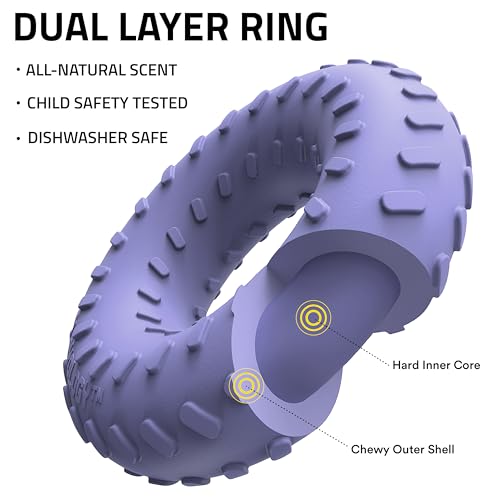 Playology Dog Toys | Dual Layer Ring Durable Dog Toy for Tough Chewers | Blueberry Scented Medium Chew Toy for Dogs - size: Medium, style: Blueberry