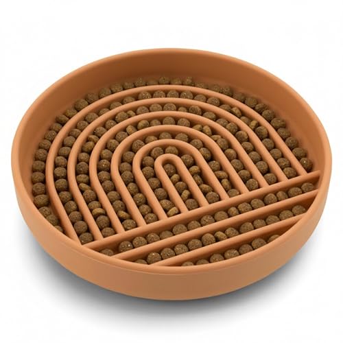 Should We Go? Slow Feeder for Dogs & Cats, The Slowdown Bowl Silicone Slow Eating Mealtime Solution with Modern Lick Mat Design, Reduces Gulping, Fits 1 Cup, 6” Across x 1.25” Tall, Small-Terracotta - color: Terracotta, size: Small (6” Across x 1.25” Tall