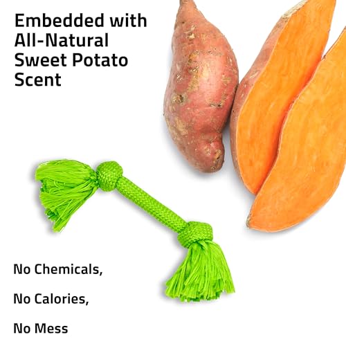 Playology Dog Toys | Dri-Tech Rope Toy Tug of War Rope for Aggressive Chewers | Medium Sweet Potato Scented Toy - Easy to Clean and Made from Non Toxic Materials - size: Medium, style: Sweet Potato