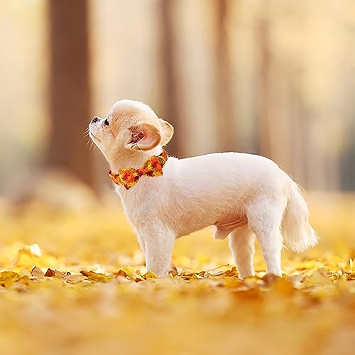 Fall Dog Collar with Bow Tie - Cute Fall Gold Maple Thansgiving Dog Collars, Adjustable Cotton Metal Buckle Bowtie Collar for Small Medium Large Boy Girl Dogs XS - color: B-Maple Leaf, size: XS