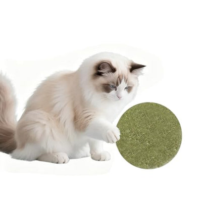 Catnip Balls for Cats - 4 inches Diameter Catnip Ball, Interactive Cat Toy for Indoor Cats, Cat Nip Licking Balls - size: 4 inch