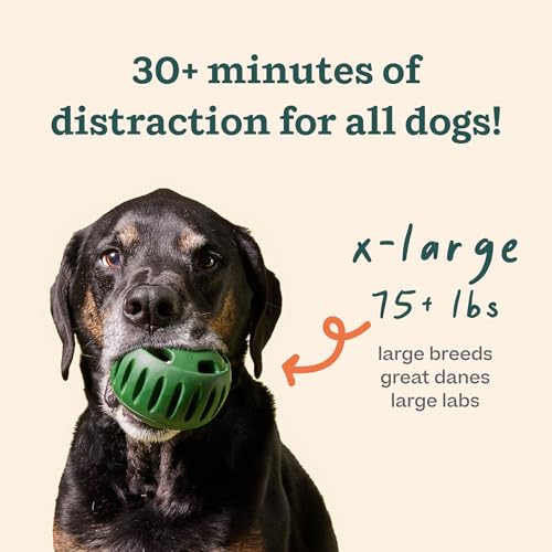 WOOF Starter Pack - Interactive Dog Ball Toy for Boredom - Dog Treat Molds Silicone - Chicken-Flavored Healthy Treats for Dogs - Pupsicle Doggy Enrichment Toy - for XL Pups - 75+ lbs
