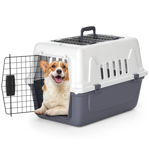 MoNiBloom 22-Inch Dog Crate Plastic 2-Door Top Loading Cat Carrier, Hard-Sided Dog Travel Carrier for Small Dogs and Cats, Ventilation and Security Lock Design for Pets up to 22 lbs (Grey) - color: Grey, size: 22" in Length