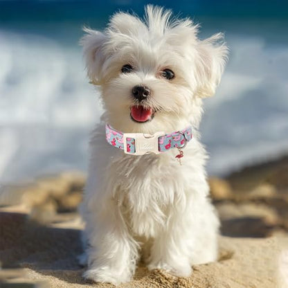 Summer Dog Collar Cute Flamingo Float Dog Collars for Puppy Small Dogs - Lightweight Adjustable Male Female Dogs Everyday Collar with Quick Release Buckle XS - color: Grey Flamingo, size: XS