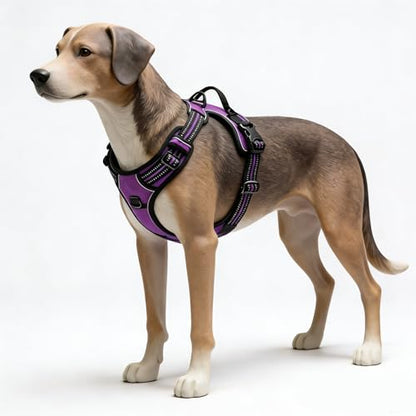 Purple No-Pull Dog Harness with 2 Leash Clips，Soft Padded Vest for Small Dog, Adjustable Reflective Dog Vest Easy to Put on and Take Off,(Neck: 13"~17", Chest: 17"~21",Purple Small) - color: Purple, size: Small