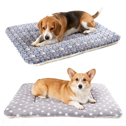 Dog Blankets for Small Dogs, 2-Pack Washable Plush Pet Mat - Soft & Warm Reversible Puppy Blankets for Couch, Bed, Crate& Travel Carrier - size: 31"x22"