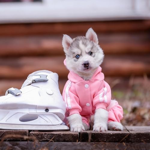 Dog Hoodie Security Clothes 4 Legs Jumpsuit Sweatshirt Hoodies Soft & Warm Dog Outfit Pullover Dog Winter Clothes Sweater for Small Medium Large Dogs Cats (Pink, X-Small) - color: Pink, size: X-Small