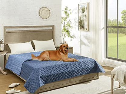 gogobunny 100% Double Sided Waterproof Dog Blanket Soft Pet Bed Cover Reversible Protect Furniture Couch Sofa Car for Puppy Cat Kids (Dark Blue/Light Blue, 30x30 Inch (Pack of 1)) - color: Dark Blue/Light Blue, size: 30x30 Inch (Pack of 1)