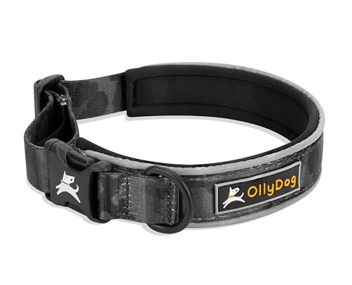 OllyDog Flagstaff Reflective Comfort Collar, Neoprene Padded Dog Collar, Reflective Trims for Night Runs, Extra Comfort for Active Dogs (Large, Dream Camo) - color: Dream Camo, size: Large