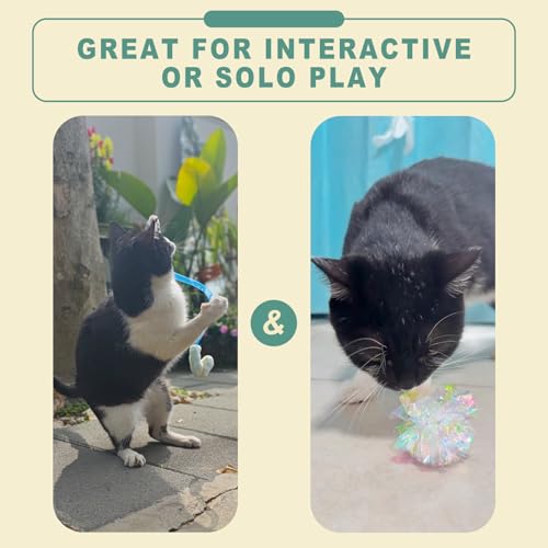 Interactive Cat Toys Set, Silvervine Chew Sticks and Catnip Spring Ropes, Indoor Cat Toys for Exercise and Dental Care, for All Cat Breeds (5 Pack) - color: 5 Pack