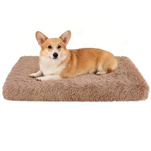 Fluffy Orthopedic Dog Beds for Medium Dogs with Washable Removable Cover Dog Crate Bed Egg Crate Foam Support Plush Pet Pad Mat with Anti-Slip Bottom(36 * 24,Khaki) - color: Khaki, size: 36"L*24"W