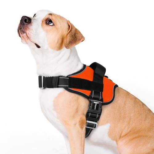 rabbitgoo Dog Harness for Large, Easy On Pet Vest with One Buckle, No Pull Adjustable Service Harness with D-Ring & Handle, Reflective for Safety Walking, Training, Orange, L - color: Orange, size: Large