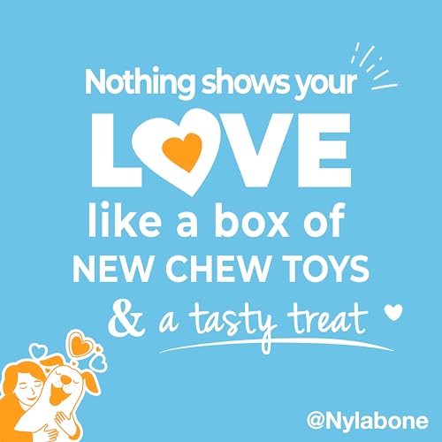 Nylabone Puppy Gift Box, Includes 3 Strong Puppy Chew Toys and 1 Natural Treat Bone for Puppies, Gifts for Puppies, Small Dogs - Up to 25 lbs., 4 Pack - size: Puppy (4 Count)