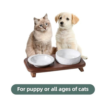 Havniva Cat Food Bowl, 6.1" Raised Cat Bowls with Acacia Wood Stand, Elevated Cat Dishes Ceramic Pet Food & Water Bowl Set, Extra Wide Whisker Friendly Elegant Pet Dish for Kitten, Cats, Puppy - color: 1Bowl+1Dish+Stand- Arctic White