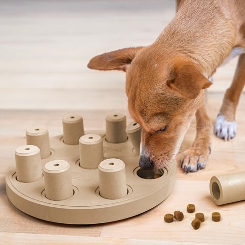 Outward Hound by Nina Ottosson Dog Smart Treat Puzzle Enrichment Toy, Level 1 Beginner, Tan, Composite - color: Dog Smart Composite (Tan)