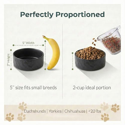 Ceramic Dog and Cat Bowl 2-Pack Non-Slip Weighted Food Water Set for Cats &Small Dogs 13.5OZ Black - color: Black – 2 Pack